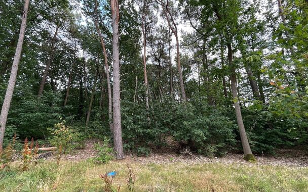 Bouwgrond te koop in Grobbendonk