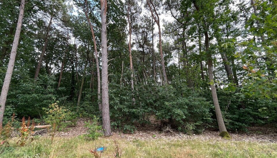 Bouwgrond te koop in Bouwel