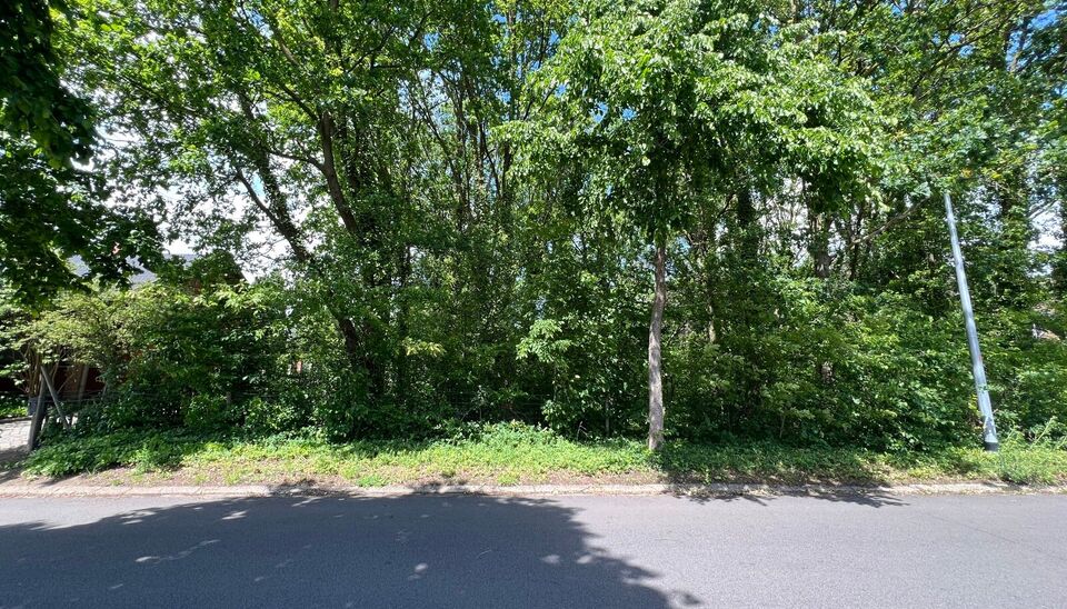 Bouwgrond te koop in Nijlen