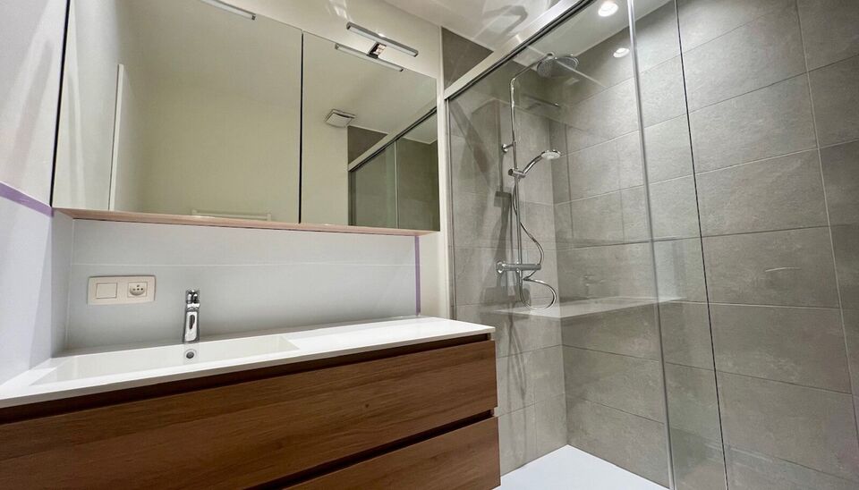 Dakappartement te huur in Nijlen