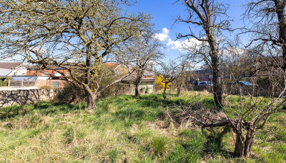 Eengezinswoning te koop in Nijlen