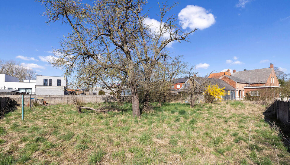 Eengezinswoning te koop in Nijlen