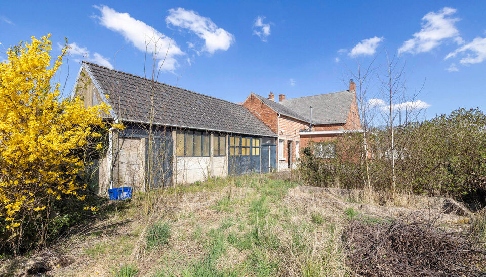 Eengezinswoning te koop in Nijlen