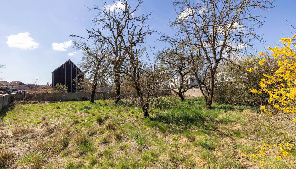 Eengezinswoning te koop in Nijlen
