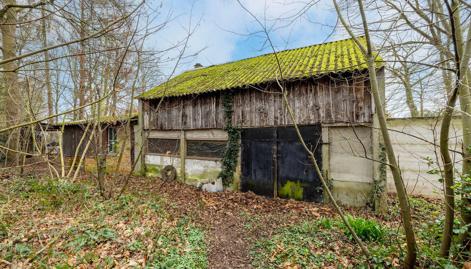 Eengezinswoning te koop in Nijlen