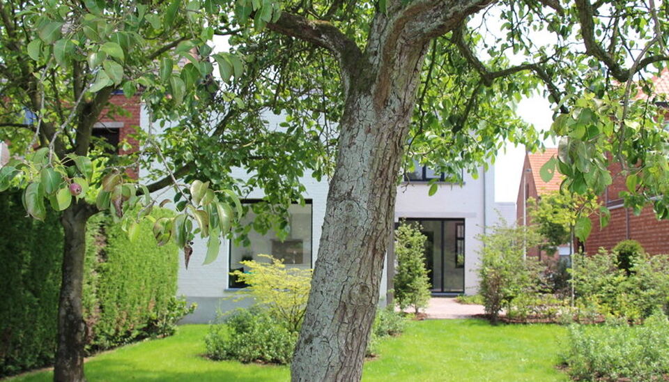 Herenhuis te huur in Nijlen